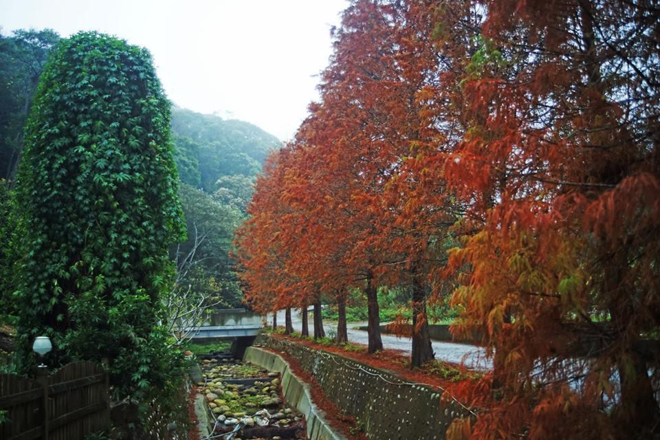 Maison-Philo Homestay B & B Sanyi Dış mekan fotoğraf